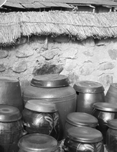 ���� ��ȥ�� ��ȥ� 